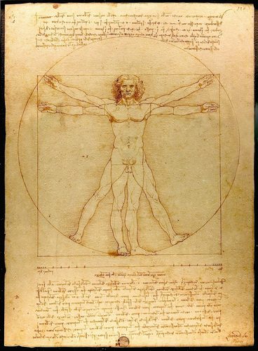 Vitruvian Man — Golden Ratio