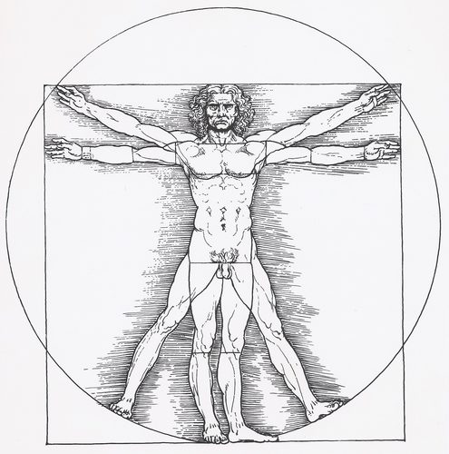 Vitruvianischer Mann — Golden Ratio