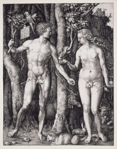 Adam and Eve — Line