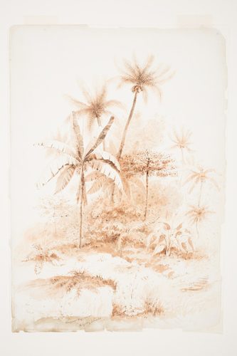 Tropical Vegetation, Loyalty Islands — Neutral Colors