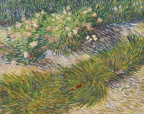 Grass and Butterflies — Split-Complementary Colors