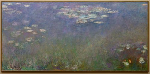 Water Lilies (Agapanthus) — Unity